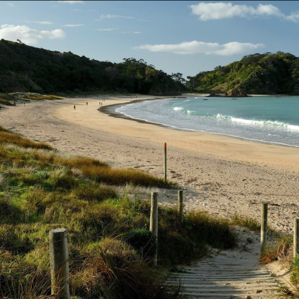 Waka Campa campervan in the New Zealand landscape
